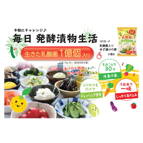 乳酸菌入り ゆず漬けの素 48g（16g×3）×5袋セット