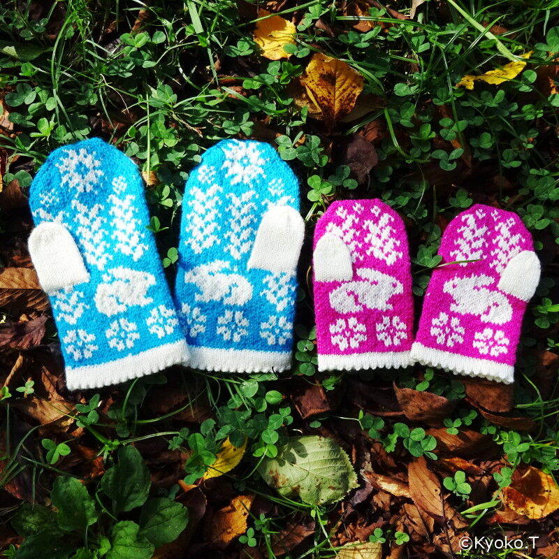 森のミトン | きょうこにっつ