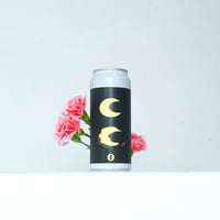 Ripplephobia (Totopia Brewery) / Style:DDH Hazy Pale Ale