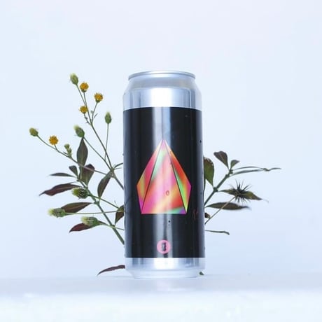 Reflectphobia  (Totopia Brewery)  / Style:Dry Hopped Sour IPA