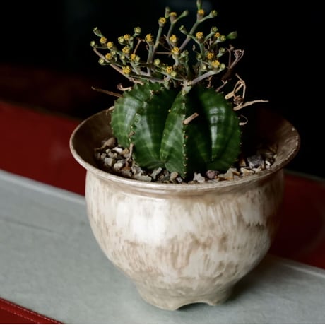 坂本新 作品【 LUSTER OVERGLAZE  - 灰虹彩 -  gray moonstone  】 笠間焼 植木鉢
