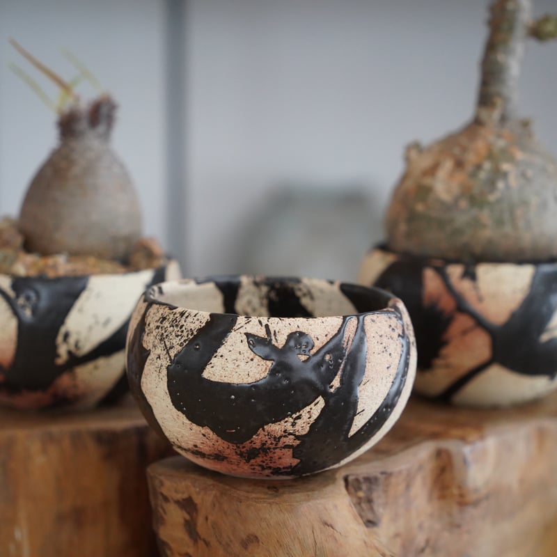 長浜太志 作 【 太陽雨 (てぃーだあみ) / 3.5号 】やちむん 植木鉢