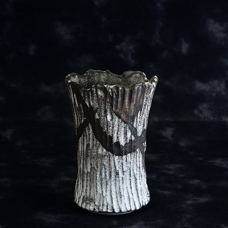 CATEGORY 「 堕天- daten - 」 | 陶賊 -TOUZOKU- bonsai