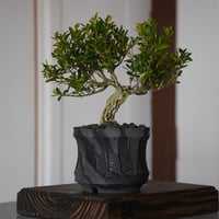 穂髙隆児　暁　植木鉢 穂髙隆児 /akatuski02_01/ 約φ11.5cm / 植木鉢 – ハチラボ
