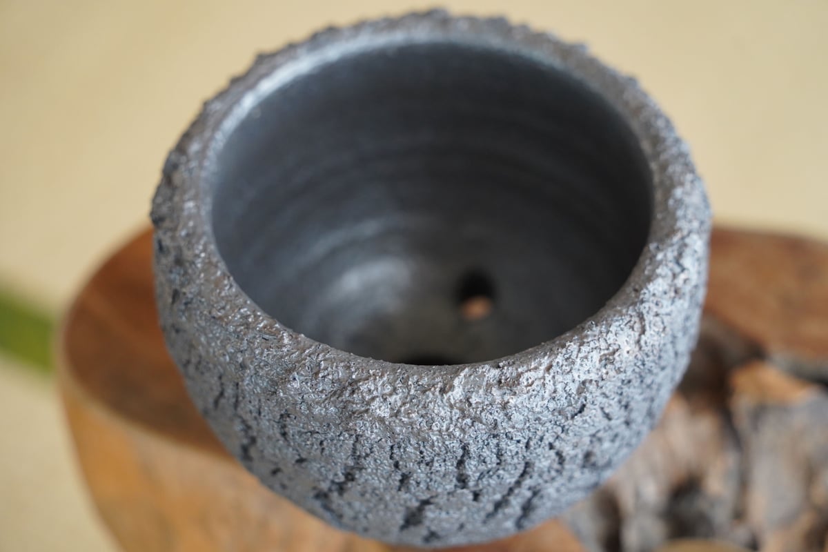 蛇の目松　斑入り　盆栽　8号陶器鉢つき　極上樹形❗ 蛇の目松 斑入り 盆栽 8号陶器鉢つき 極上樹形❗ 蛇の目松の