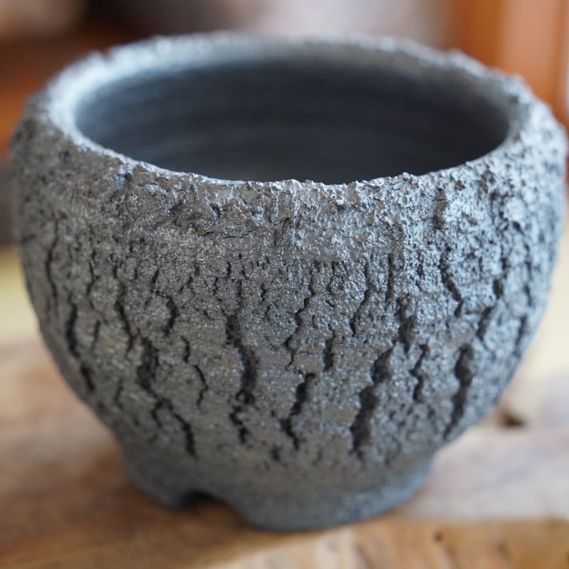 蛇の目松　盆栽　斑入り　4号陶器鉢つき　極上❗ 松野然 作 【 ZEN - 裂紋 - / 4号 】植木鉢 ［No.20］ | 陶賊