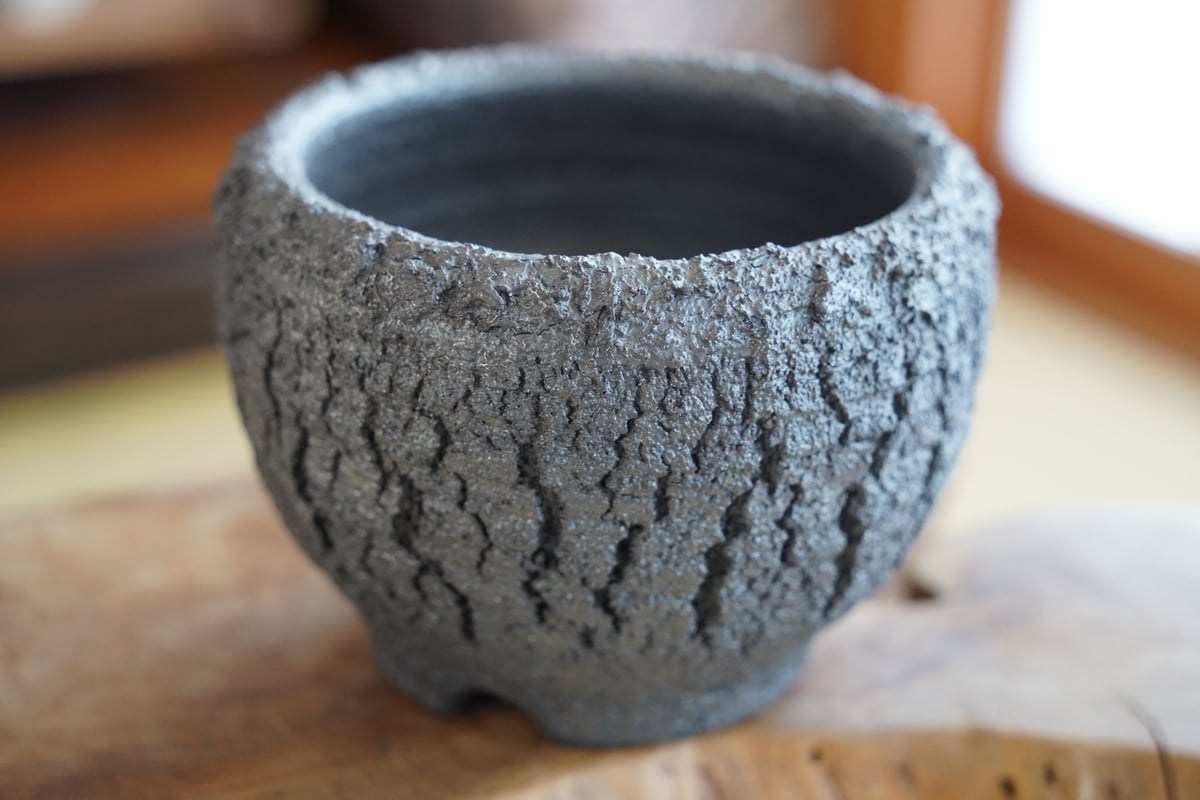 12 恩塚交配　自根　鉢付 松野然 作 【 ZEN - 裂紋 - / 4号 】植木鉢 ［No.20］ | 陶賊 -TOUZ