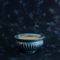 森田昌求 作品【 CLAW / L 】4.5号 浅鉢 笠間焼 植木鉢 ［ No.42］