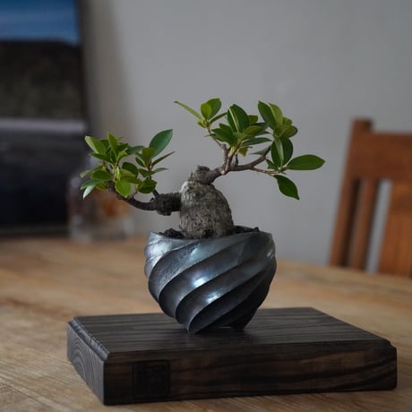 CATEGORY 沖誠 植木鉢作品 笠間焼 | 陶賊 -TOUZOKU- pottery se