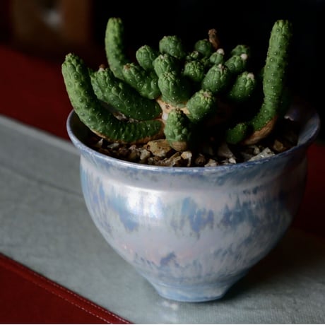 坂本新 作品【 LUSTER OVERGLAZE  - 水虹彩 -  aqua marine  】 笠間焼 植木鉢