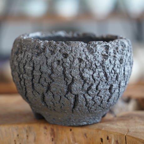 CATEGORY 松野然 植木鉢作品 | 陶賊 -TOUZOKU- bonsai & pottery