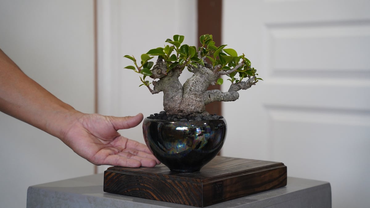 伊万里 丸形 盆栽鉢 植木鉢 中古】盆栽鉢 伊万里 小型 長辺 約 15.3cm 六角鉢 色絵 松 花 模様