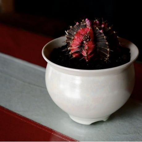 坂本新 作品【 LUSTER OVERGLAZE  - 白虹彩 -  white pearl  】 笠間焼 植木鉢