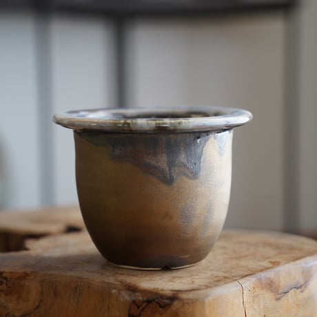 CATEGORY HINUMA RYU 植木鉢作品 | 陶賊 -TOUZOKU- bonsai