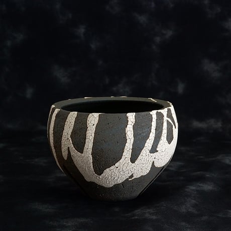 CATEGORY 黒二白 | 陶賊 -TOUZOKU- bonsai & pottery