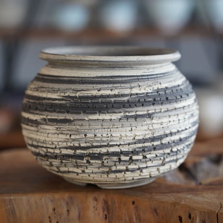 CATEGORY 松野然 植木鉢作品 | 陶賊 -TOUZOKU- bonsai & pottery