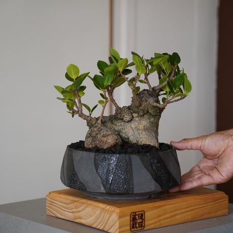 時代　琉球　木彫　盆　33×33㎝　東な7-0304③ 時代 琉球 木彫 盆 33×33㎝ 東な7-0304③