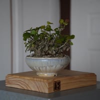 杉山悠 作品 植木鉢 φ10.0cm 笠間焼［ No.09 ］ | 陶賊 -TOUZOKU-