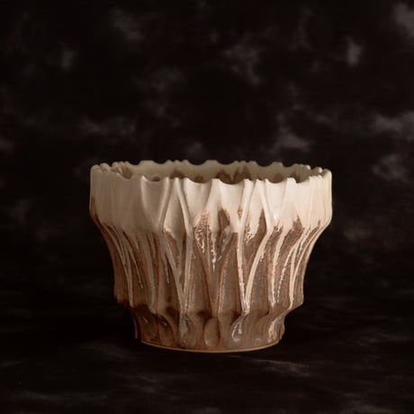 陶賊 -TOUZOKU- bonsai & pottery