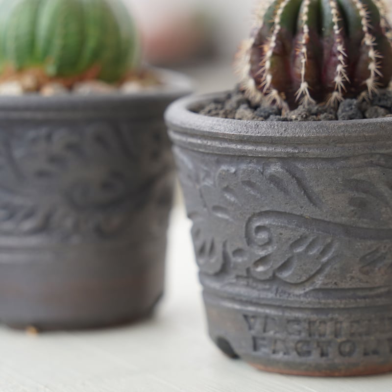 画像右】ユーフォルビア オベサ × 與那嶺大輔 作「琉球唐草」2.5号