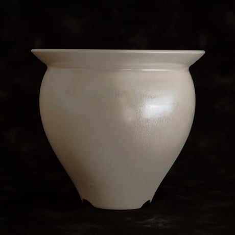 陶賊 -TOUZOKU- bonsai & pottery