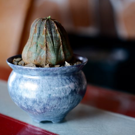 坂本新 作品【 LUSTER OVERGLAZE  - 青虹彩 -  turquoise  】 笠間焼 植木鉢