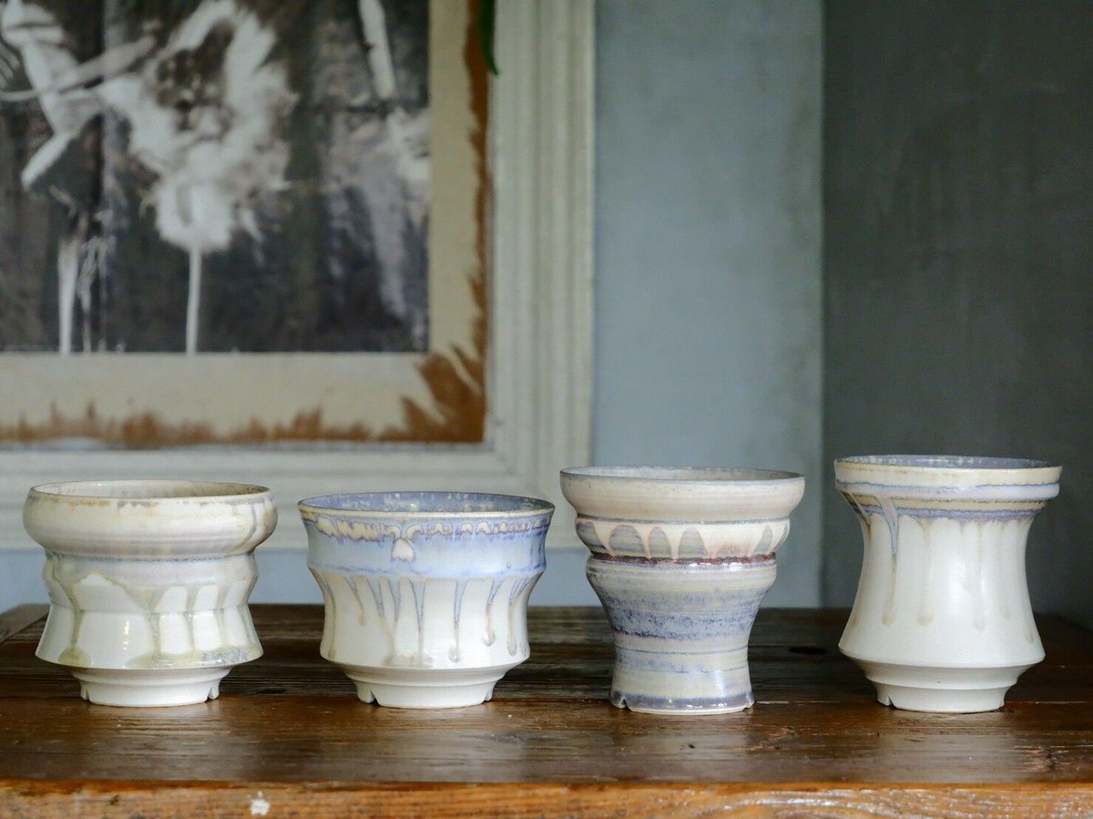 レア　ニブリア綴化×杉山悠　鉢　セット　斑入り レア ニブリア綴化×杉山悠 鉢 セット 斑入り - メルカリ