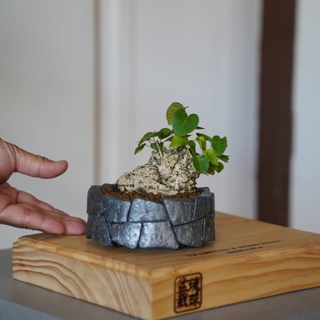 本焼き植木鉢　KATUDANSO 本焼き植木鉢 KATUDANSO 本焼き植木鉢 KATUDANSO