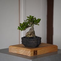 沼野秀章 作品 【 black wrap 】 3.5号 笠間焼 植木鉢 ［ No.3 ］ |