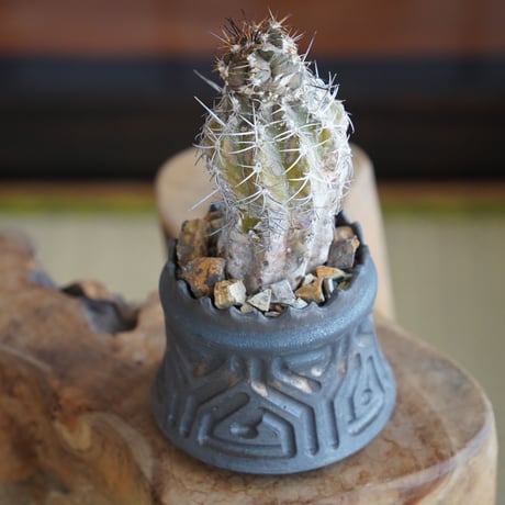 コピアポア ブリトゲシー 舞竜丸 × 根本峻吾 作 S.N POT type.cylinder「 鐡 - 黑焰 - 」3号 植木鉢 ［No.08］