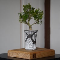 根本峻吾 作品【 S.N.Pot ''鎬丸'' - crown - 5号 】笠間焼 植木鉢 |