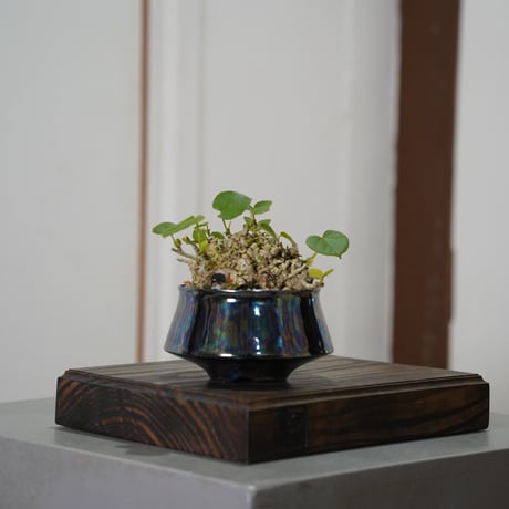 究極の美◼️蔵から美しい自然釉薬の備前焼と思われる盆栽鉢が出てきた