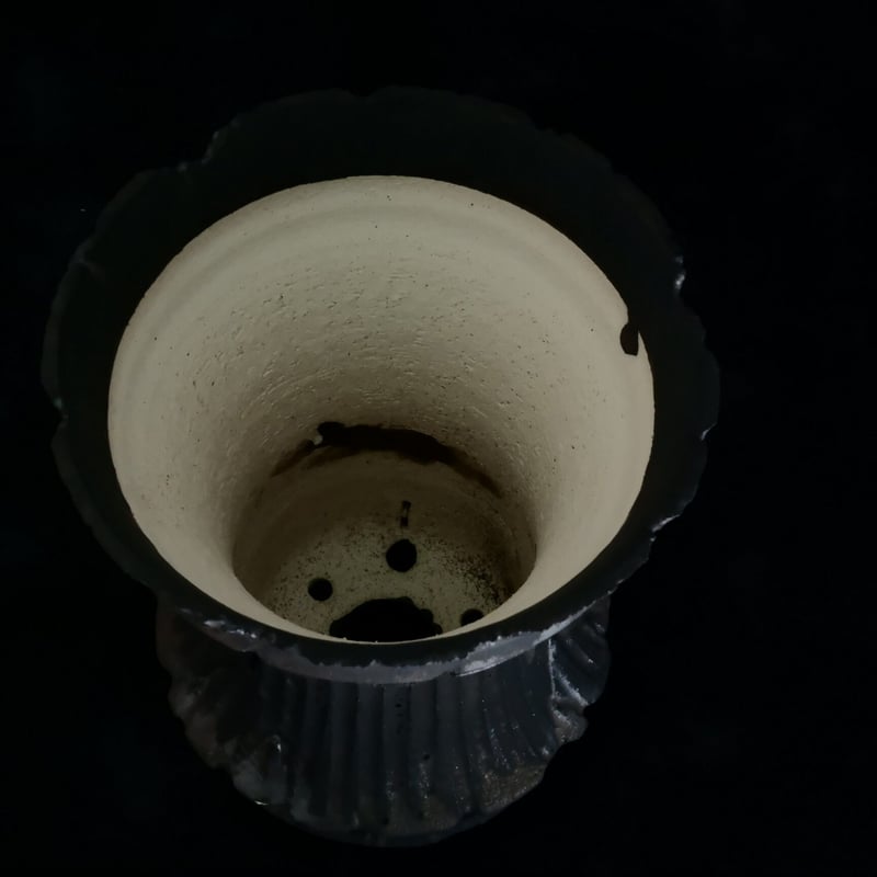 夢風組　1周年記念　限定25鉢 A. 小野瀬一 作品 5.5号 植木鉢 [No.35] | 陶賊 -TOUZOKU- bons