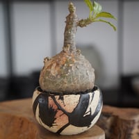 長浜太志 作 【 太陽雨 (てぃーだあみ) / 3.5号 】やちむん