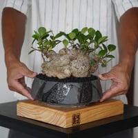穂高隆児 作品【 暁 - AKATSUKI - 】笠間焼 植木鉢 [ No.49 ] | 陶