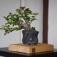 穂髙隆児　暁　植木鉢 穂髙隆児 /akatuski02_01/ 約φ11.5cm / 植木鉢 – ハチラボ