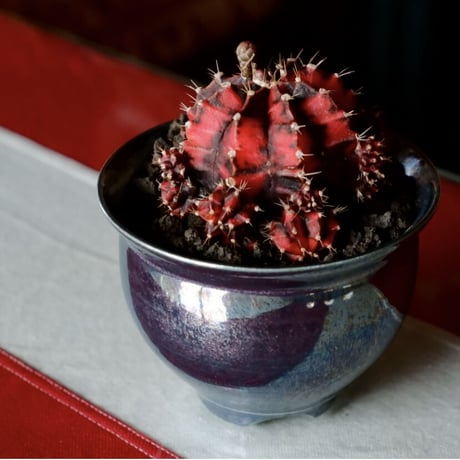 坂本新 作品【 LUSTER OVERGLAZE  - 黒虹彩 -   black opal  】 笠間焼 植木鉢