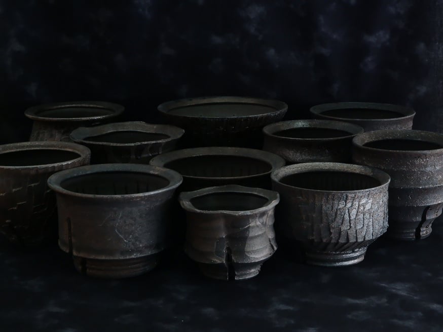 NEWS | 陶賊 -TOUZOKU- bonsai & pottery