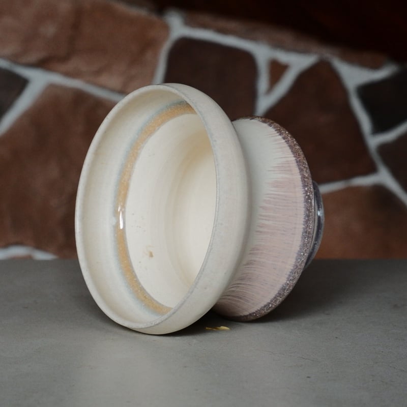 アデニウム ドーセットホーン 獅子葉 × 杉山悠 鉢 アデニウム