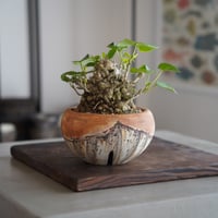 沼野秀章 作品 【 black wrap 】 2.5号 笠間焼 植木鉢 ［ No.90］ |