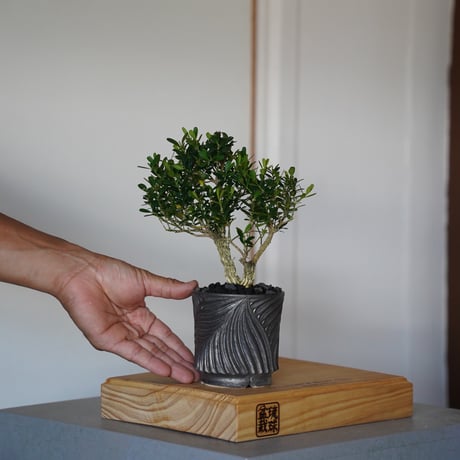 新里竜子 | STORES