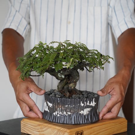 高取焼　笹山登古 壺　瓶　 鉢　広口 　底20口29/31高44cm 重蔵窯 利休信楽 水瓶 水鉢 蹲 つくばい M-101 火色古信楽20号 φ440