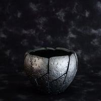 沖誠 作品【 Bark 