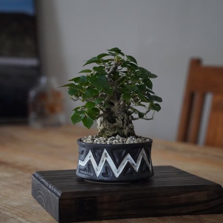 CATEGORY 根本峻吾【 S.N.Pot 】植木鉢作品 笠間焼 | 陶賊 CATEGORY 根本峻吾【 S.N.Pot 】植木鉢作品 笠間焼 | 陶賊