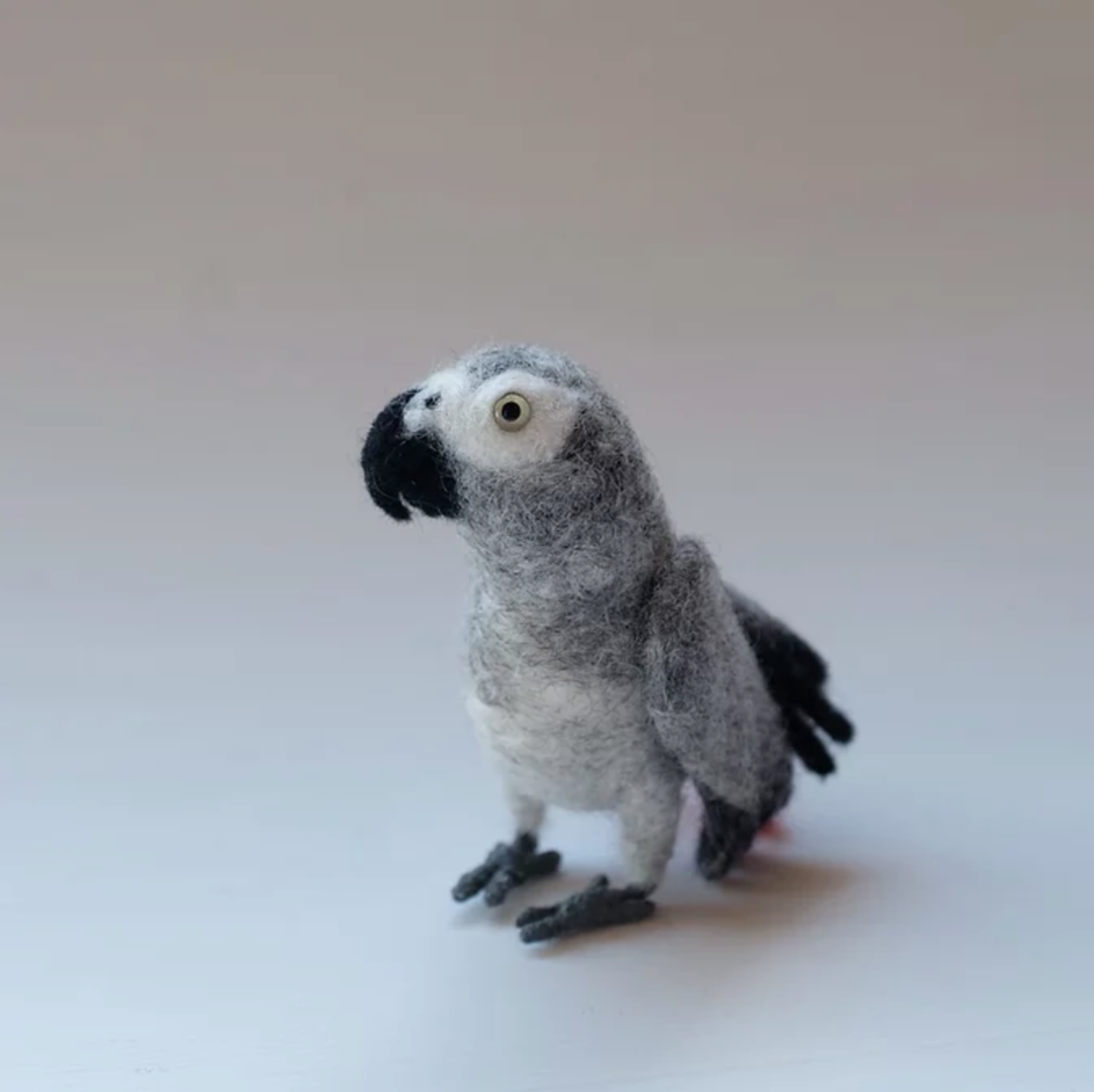 ヨウム | Bird Deco