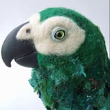 Bird Deco