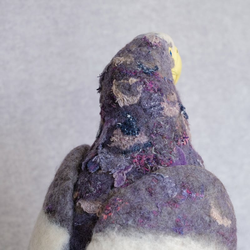 オオワシ | bird deco