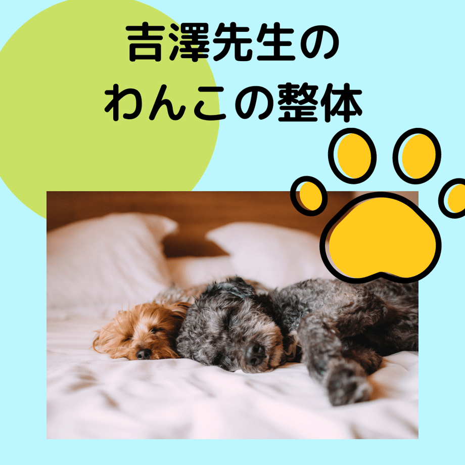 6278d69c84ec6e40a9d5af38