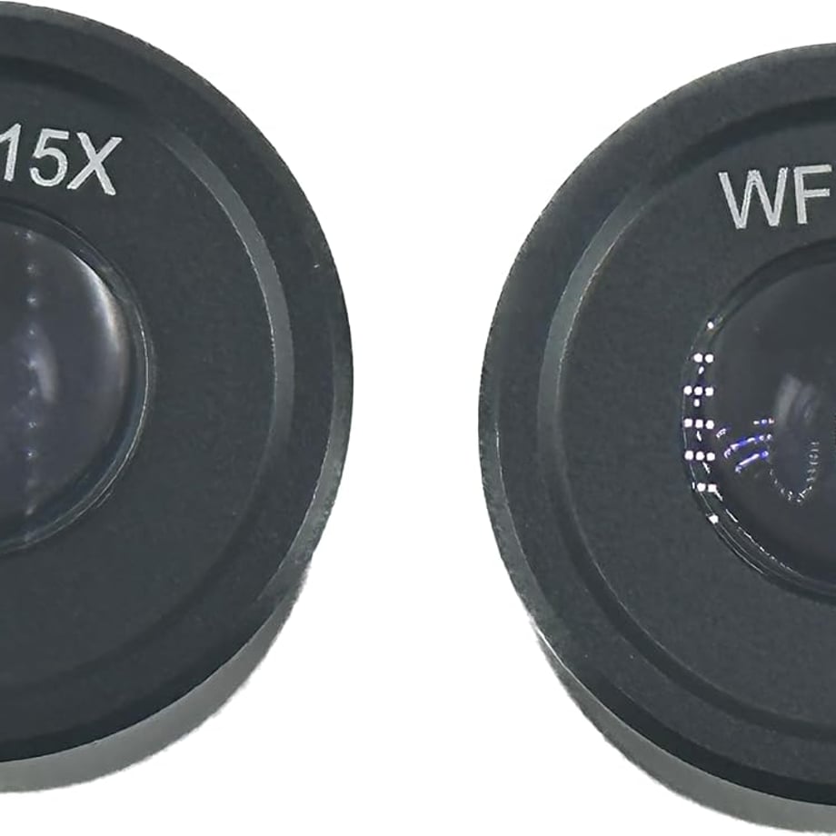 69c1411b95624d5d78b65248