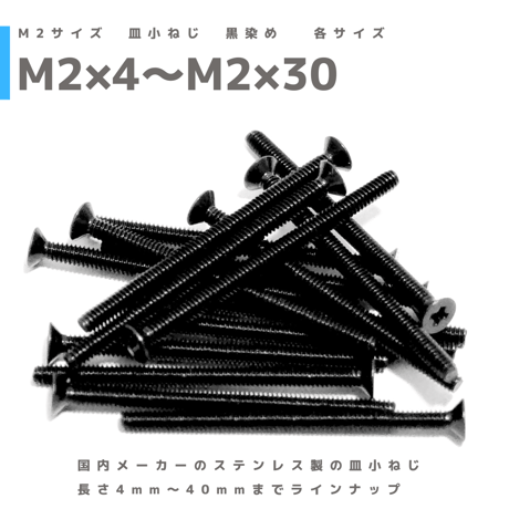 【20本組】M2 ステンレス 黒染め (SSブラック) 皿小ねじ  皿ネジ